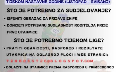 Školska liga